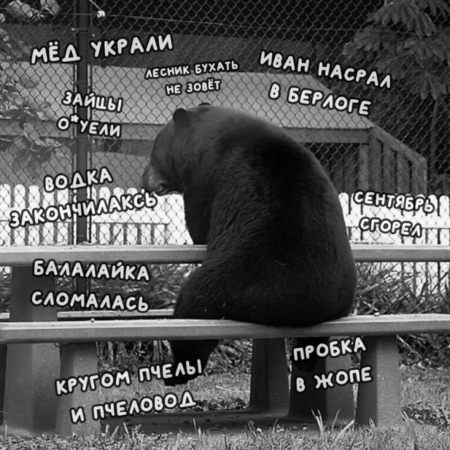 Весёлый полтишок 11.09