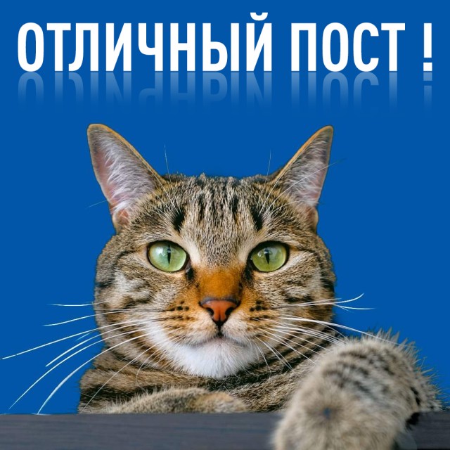 Картинки и мемы для настроения 05.10.2021