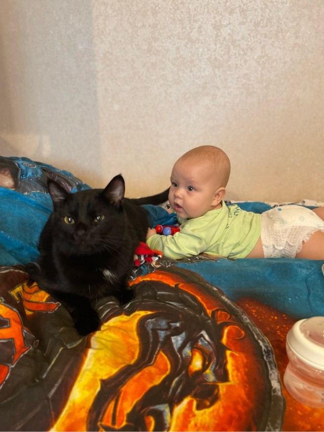 Котовторник 05.10.21 г
