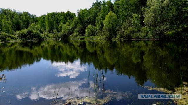 Мое небольшое увлечение. Мобильная фотография