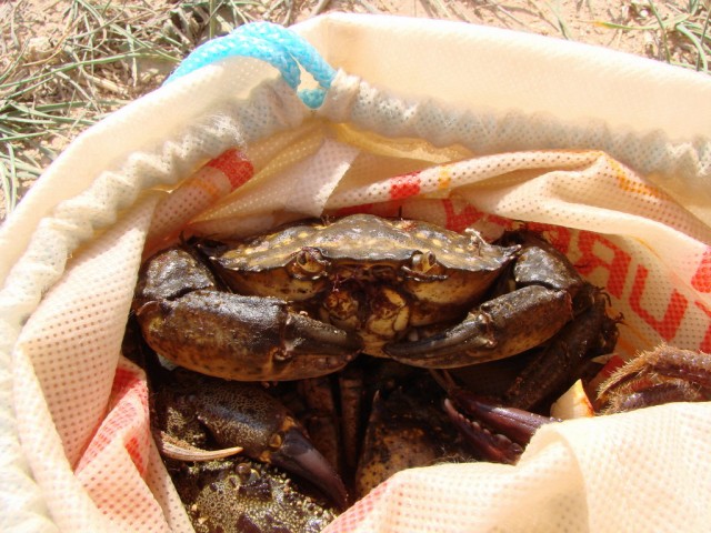 Черное море