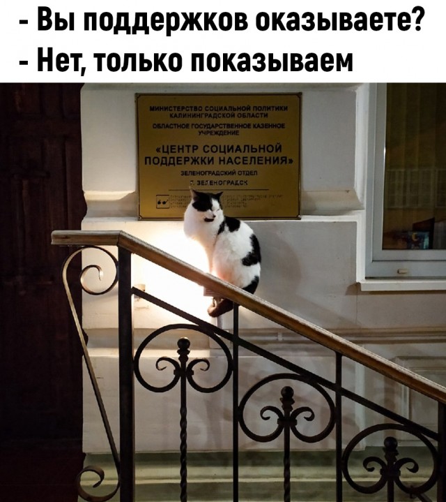 Так себе картинки 30.04.22