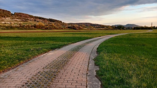Полевая дорога. Северная Бавария