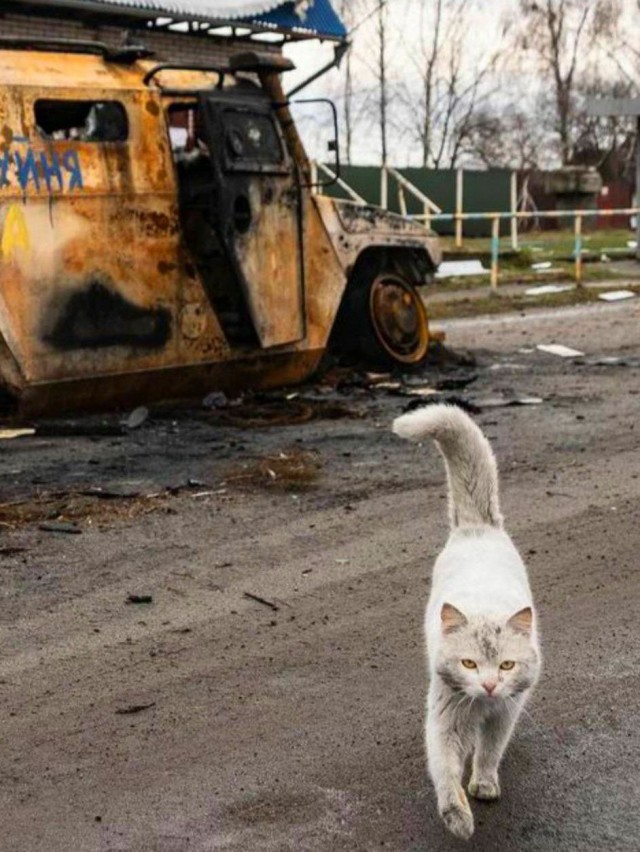 Надеюсь, они найдут себе людей