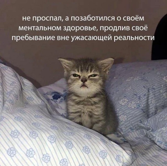 Немного картинок и прочей хреноты Vol. 14