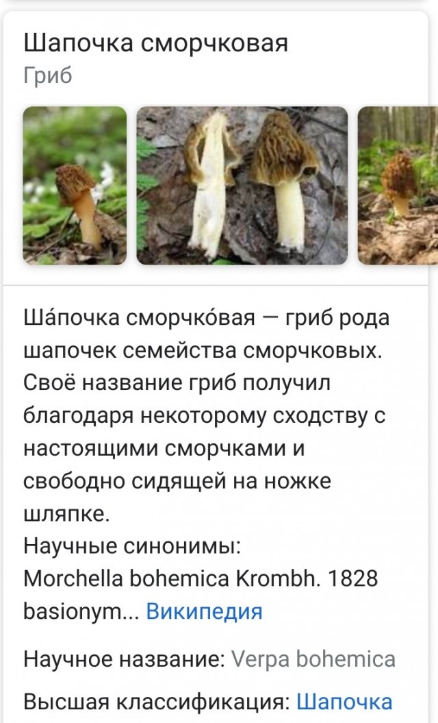 Ушла жена