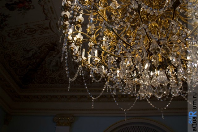 СПб глазами уставшего туриста...