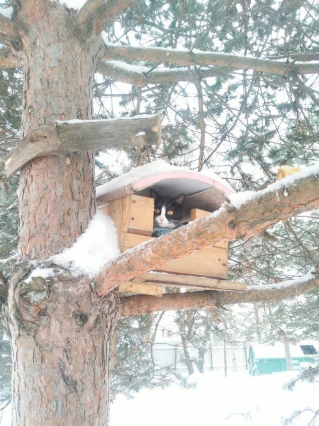 Величественное