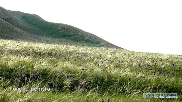 Деревенская Америка