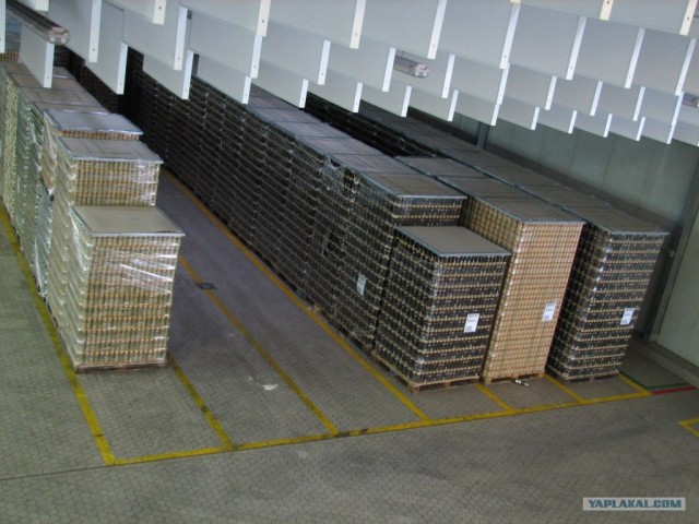 Небольшой отчет о Праге