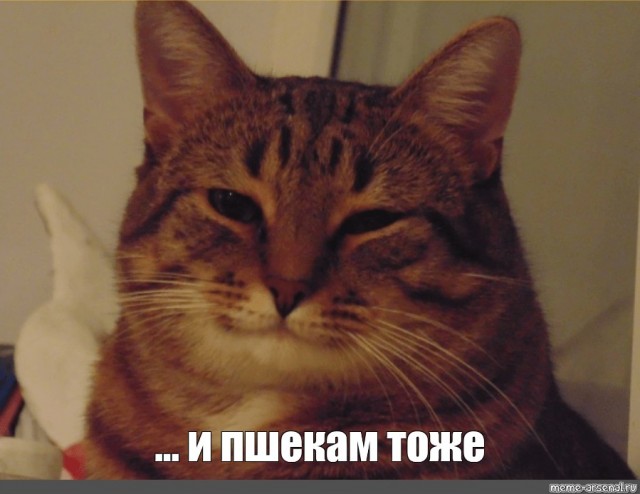 Не сбавляем темп войны