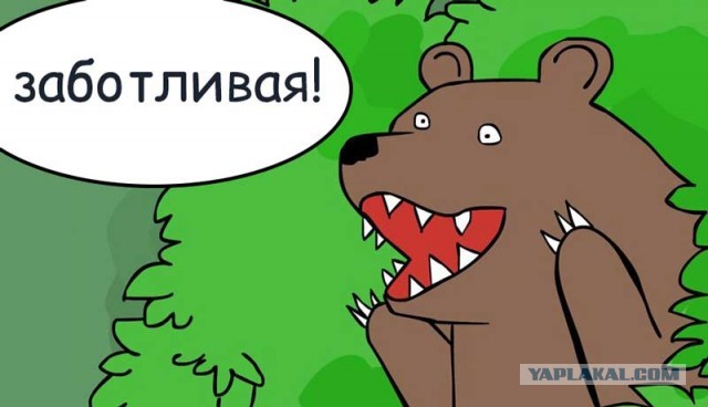 Требуется ваше мнение, коллеги: поступил запрос