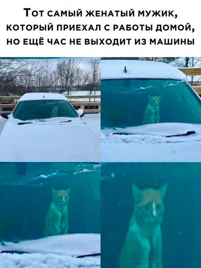 Картинки и мемы, всем хороших выходных