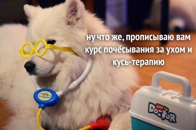 Картинки и мемы для настроения - 015
