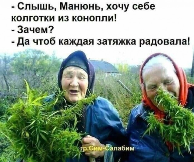 Несколько любопытных фактов о конопле