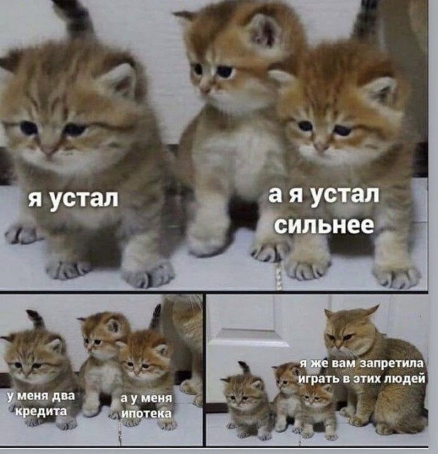 Картинки и мемы, всем хороших выходных