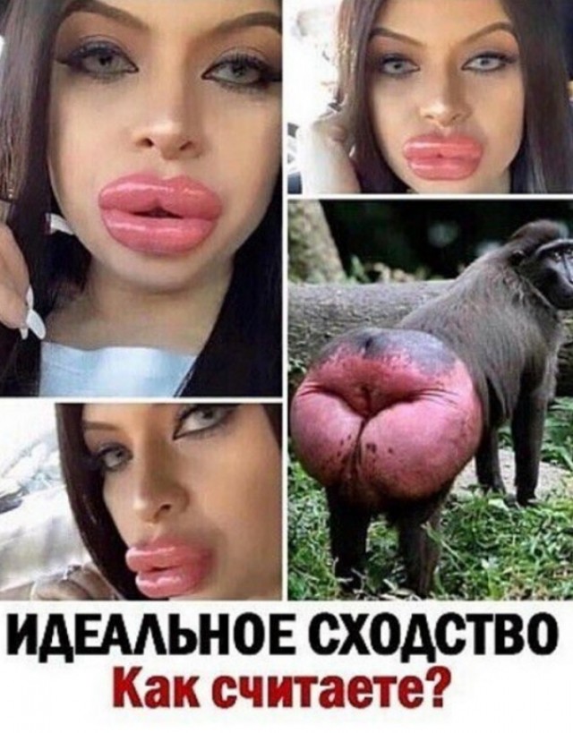 Картинки и мемы, всяко - 169