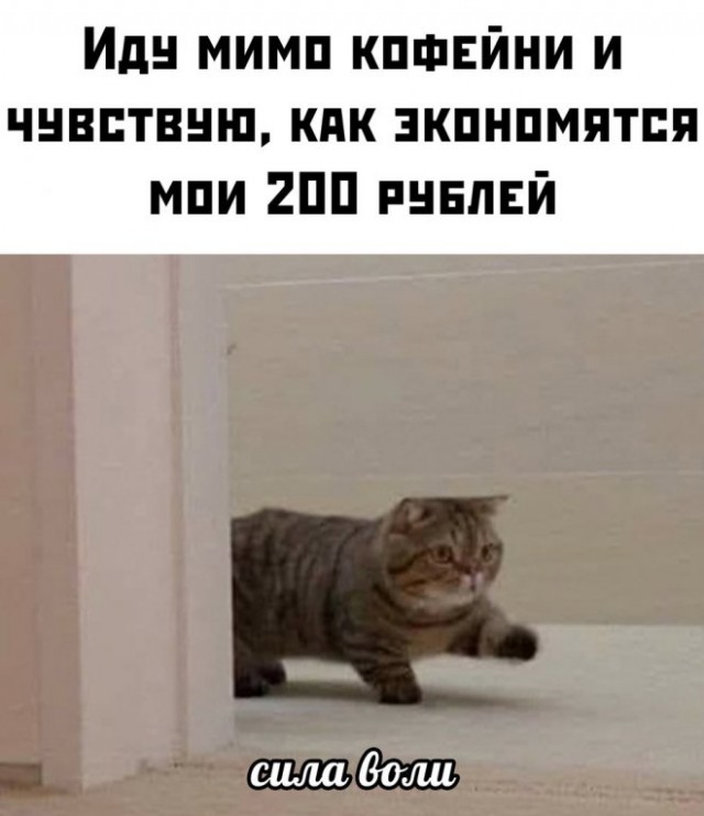 Картинки и мемы для настроения - 187