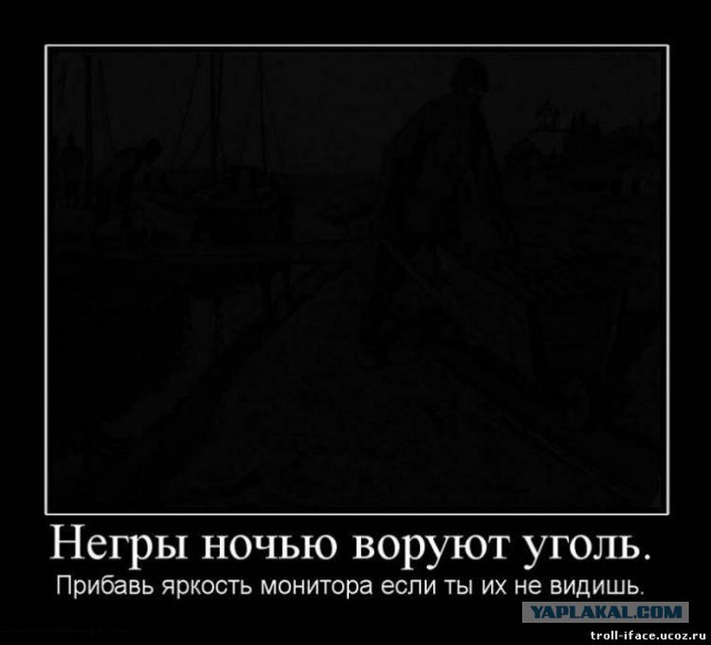 В ночь на 31 июля группа из 6 африканцев напала на 23-летнего чеченца, возвращавшегося с отдыха на пляже в Строгино