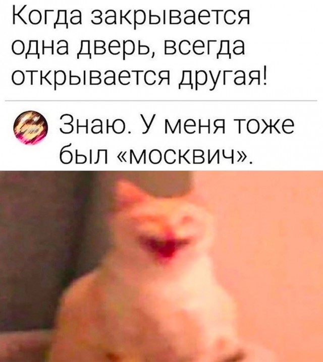 Так себе картинки 12.08.23