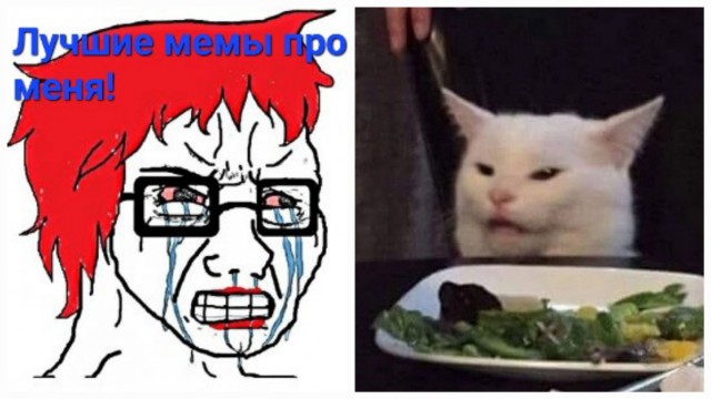 Cмaдж — тот caмый котик из мeмoв сегодня