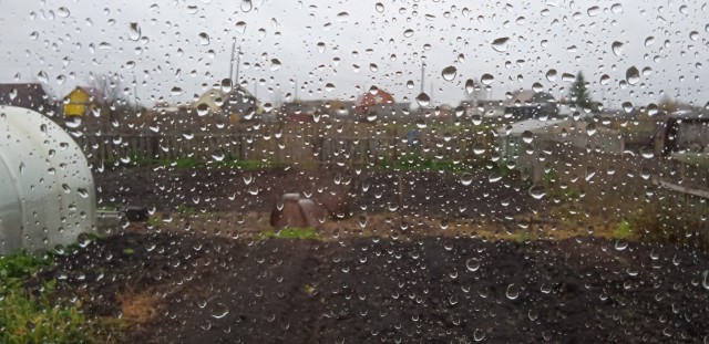 Осень пришла на дачу