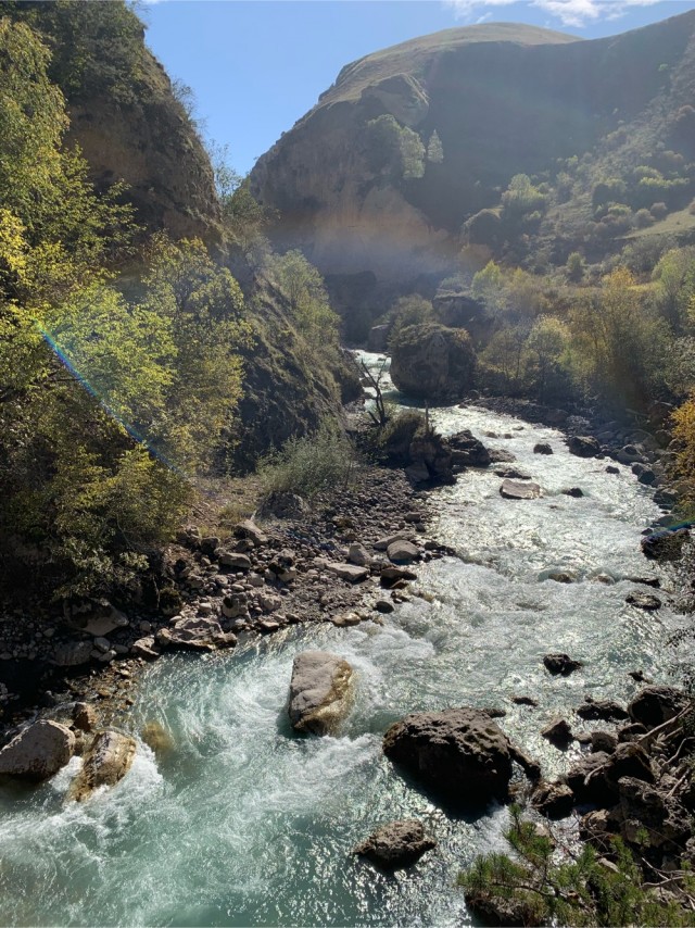 Красивые фото ЯПа