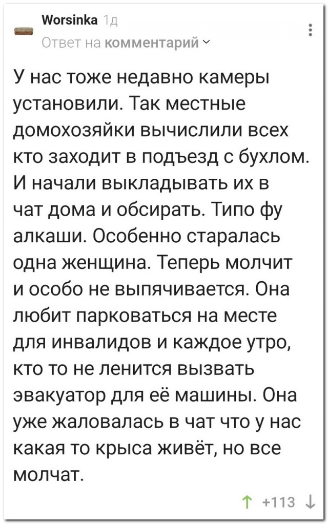 Забавные комментарии из социальных сетей (25.12.23)