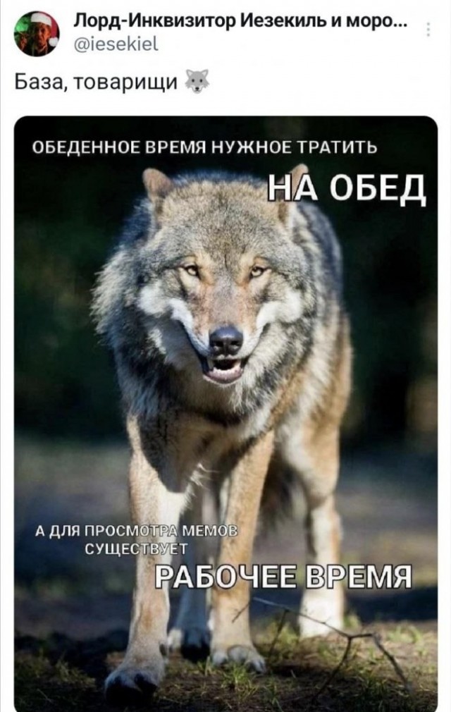 Тлидцать тли от 26 февлаля