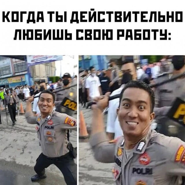С палкой всегда веселее