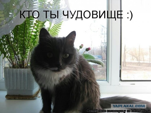 Всем доброго вечера