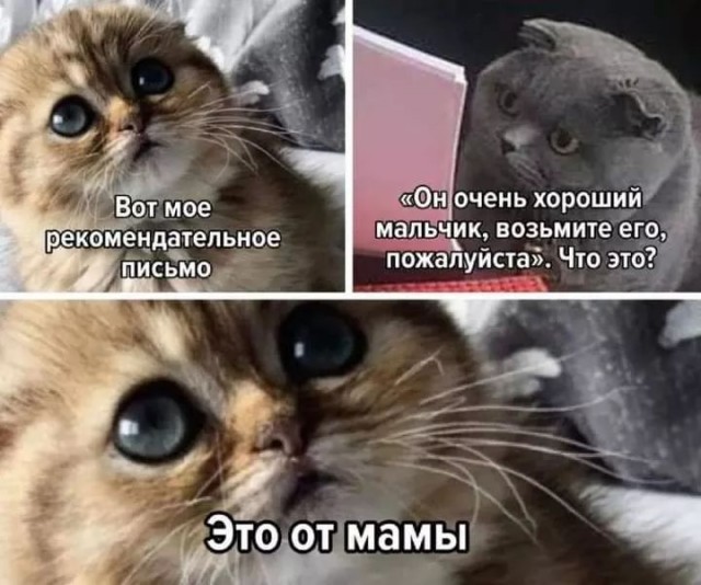 Завалялось тут случайно немного забавных картинок
