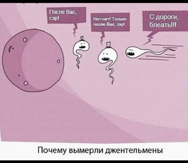 Лучше уже не будет