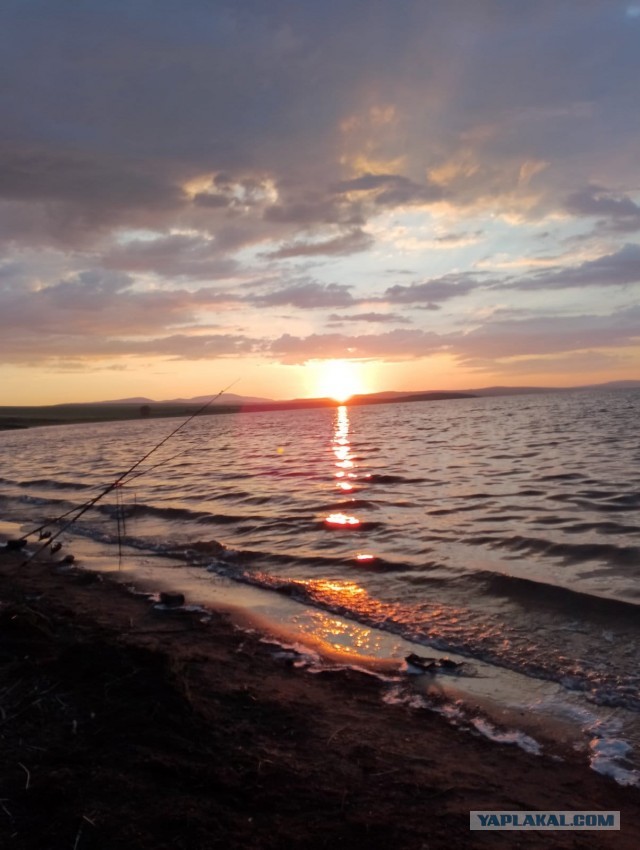 Конкурс рассказов «Как я про… лето» и другие приключения