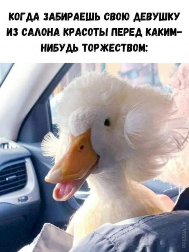 Веселые картинки к маленькой пятнице (31.06)