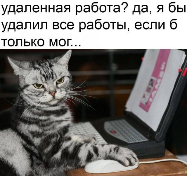 Сборник бабаянов или неожиданная помойка