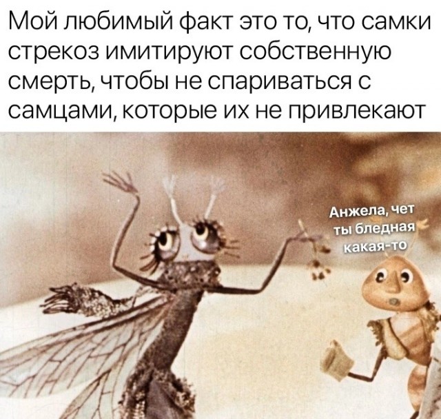 Завалялось тут случайно немного забавных картинок