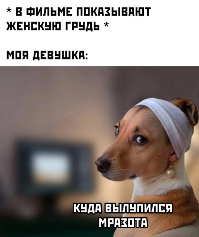 Весёлый полтишок 04.10.2024