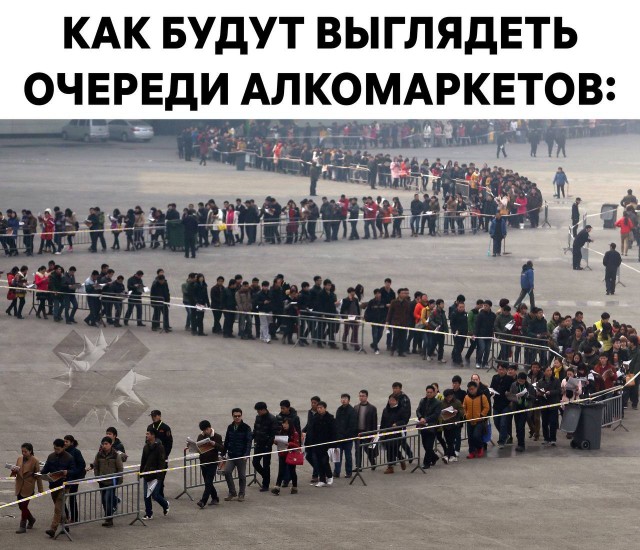 Всего понемногу. От 01.11.2024
