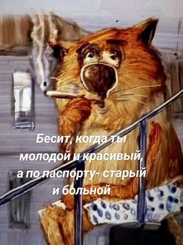 Веселые картинки в понедельник (13.01)