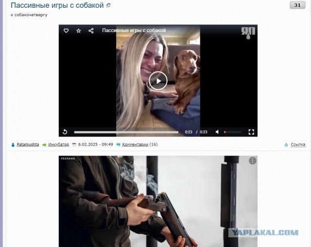 Пассивные игры с собакой
