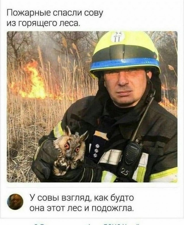 Маленькая пятница 9.04.25