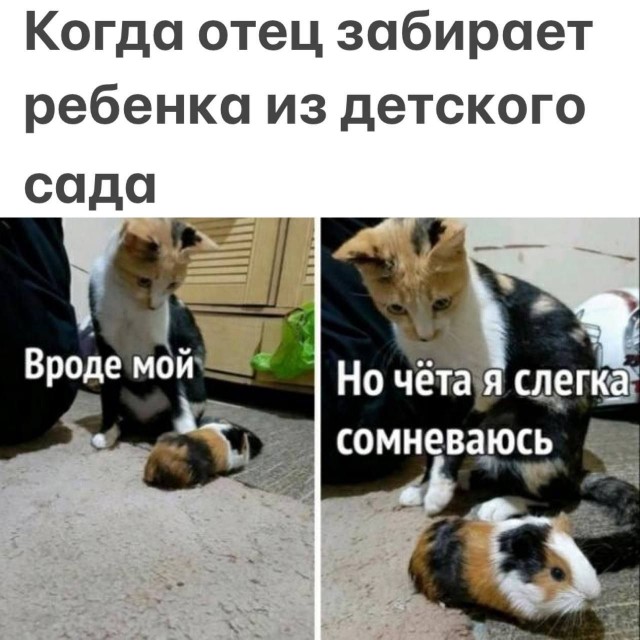 Завалялось тут случайно немного забавных картинок