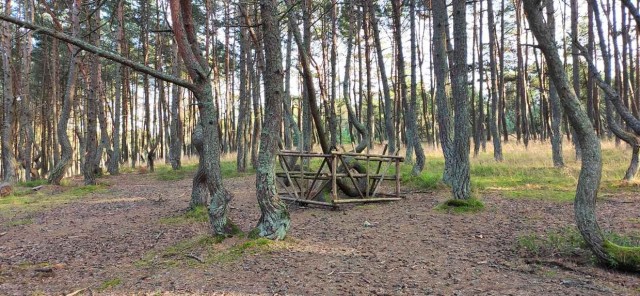 Калининград и область