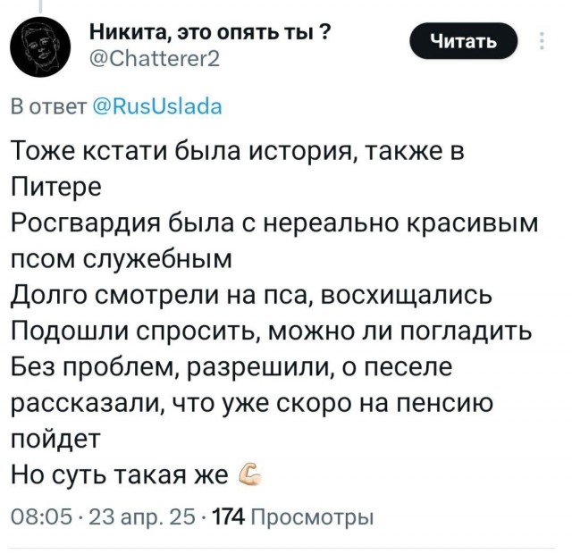 О чем мечтают полицейские?