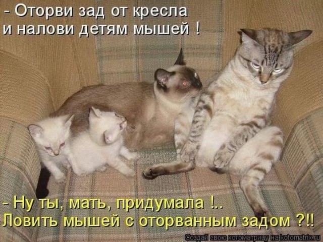 Завалялось тут случайно немного забавных картинок