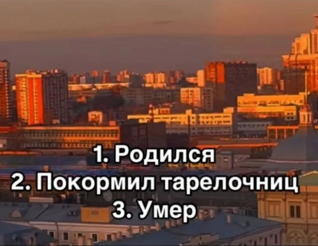Интернет-мемчики на четверг и увлажнитель воздуха