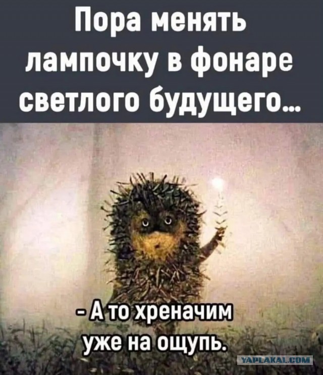 Отключать интернет по ночам ради повышения рождаемости предложили в России