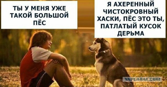 Это  не плов