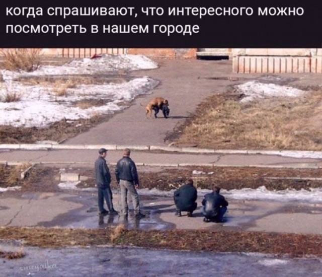 Картинки для деградации 54 (разной степени свежести)